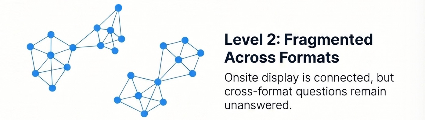 Ecosystem Unification Level 2, Connected Within Formats, Fragmented Across Them, illustration